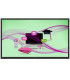 Affichage LED Philips 75BDL3152E 75 avec écran tactile interactif