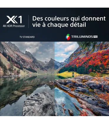 Sony Bravia KD85X80L : Téléviseur LED 4K UHD de 85