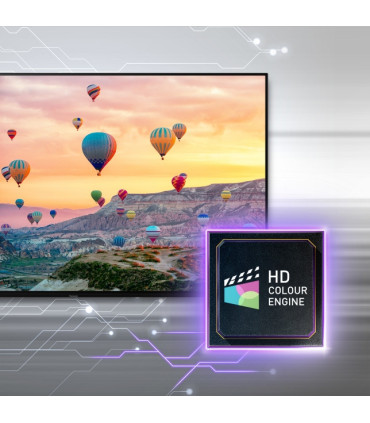 Panasonic TX24MSW504 24 TV LED HD - Image et son impressionnants