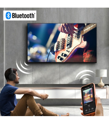 Panasonic TX24MSW504 24 TV LED HD - Image et son impressionnants