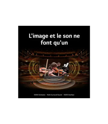 LG 86QNED866RE 86 Téléviseur Intelligent | Expérience de Visionnage Exceptionnelle