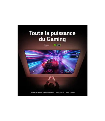 LG 86QNED866RE 86 Téléviseur Intelligent | Expérience de Visionnage Exceptionnelle