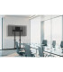 Support TV Neomounts WL55-875BL1 Motorisé 55-100″