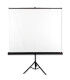 Profitez d'une vue cinématographique avec l'Écran Avtek Tripod Standart 175 97"