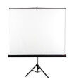 Écran de Projection avec trépied Avtek Tripod Standart 175 97"