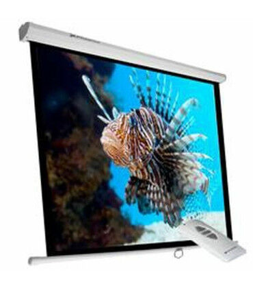 Phoenix ELEC240 135" : L'écran de projection 240x240cm pour une expérience cinéma parfaite