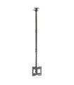 Support de TV Aisens CT43TSE-053 23-42" 50 kg