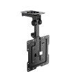 Support de TV Aisens CT43S-187 19"-43" 20 kg