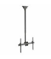 Support Plafond TV Aisens CT70TSLE-033
