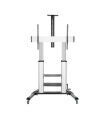 Support de TV Aisens FT100TE-125 60-100" 100 kg