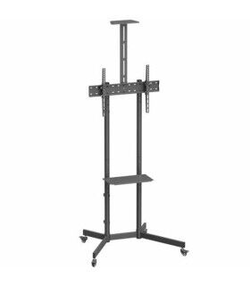 Support de TV Aisens FT70TE-335 70" 37" 45 kg