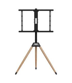 Support de TV GEMBIRD TVS-75ST-01