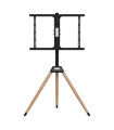 Support de TV avec trépieds GEMBIRD TVS-75ST-01