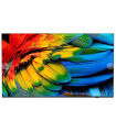 Philips 65HFL6214U/12 65" 4K UHD LED