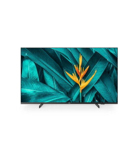 Découvrez le Philips 55HFL5214U: 55" de plaisir visuel en 4K UHD LED