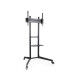 Trolley TooQ FS1170M-B 37"-70" 50 kg