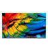 Philips 75HFL6214U: Immergez-vous dans l'univers 4K UHD LED grand format de 75 pouces