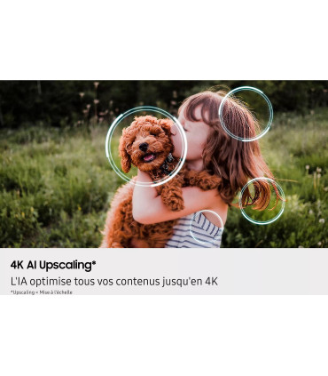 Samsung TQ100QN80F 100" 4K UHD Neo QLED: l'expérience cinéma à domicile