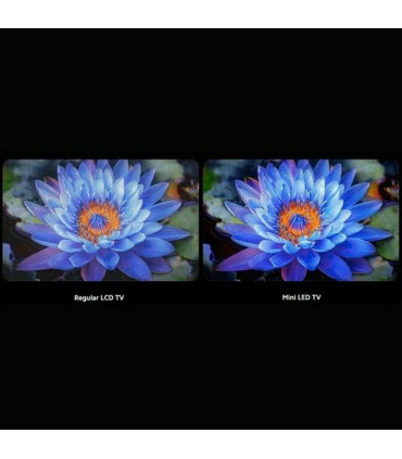 Découvrez la magie visuelle avec Xiaomi S 2025 75" 4K UHD MiniLED