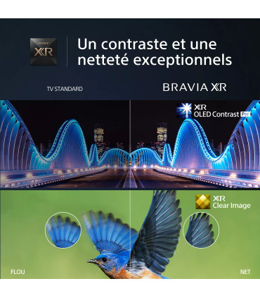 Découvrez le Sony Bravia XR-55A80L 55" 4K UHD OLED pour une expérience visuelle ultime