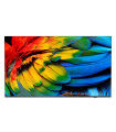 Philips Professionnel 43HFL6214U/12 43" 4K UHD LED