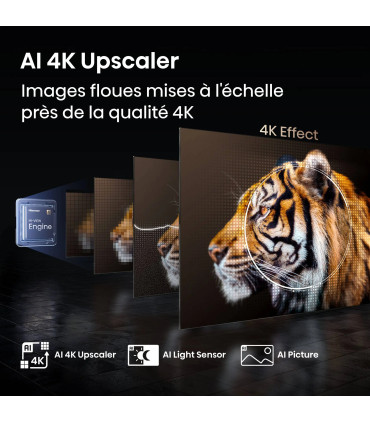 Découvrez la magie de l'Ultra HD avec le Hisense 55E77Q 55" QLED 4K