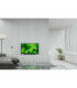 Sony KD32W800P1AEP 32" HD LED - Qualité d'image exceptionnelle pour vos soirées TV
