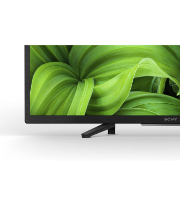 Sony KD32W800P1AEP 32" HD LED - Qualité d'image exceptionnelle pour vos soirées TV
