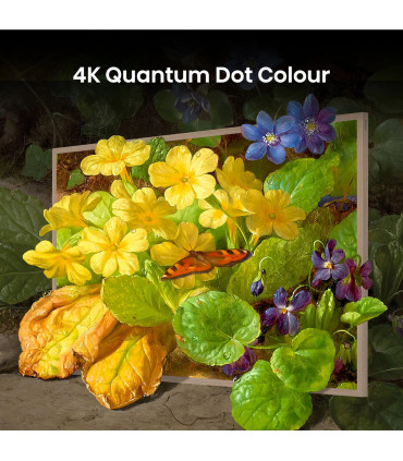 Découvrez la magie du 4K avec le TV Hisense 55S7NQ QLED de 55 pouces