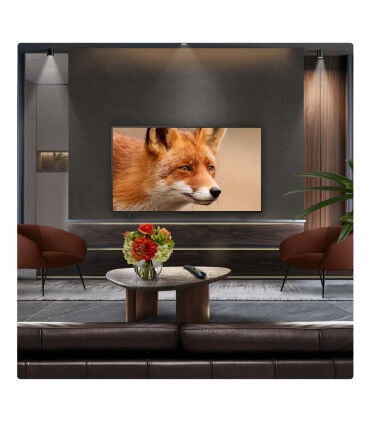 Découvrez le LG OLED65C54LA 65" 4K UHD OLED pour une expérience visuelle ultime