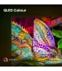 Découvrez le Hisense 55E8Q 4K UHD MiniLED : l'excellence en grand format