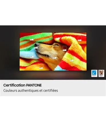 Vision 4K époustouflante avec Samsung TQ77S85F OLED 77 pouces UHD