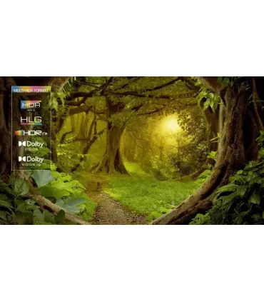 TCL 65C7K: Expérience visuelle immersive avec une qualité d'image exceptionnelle
