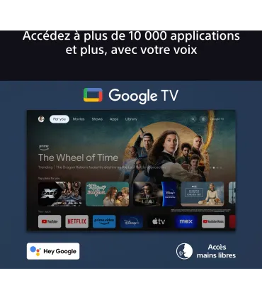 Sony 65 Bravia 9 4K QLED XR Mini-LED TV