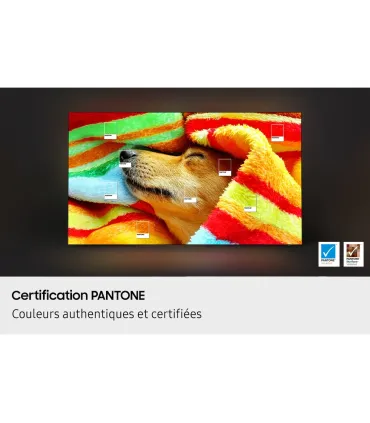 Samsung TQ65S85F 65" OLED 4K UHD – TV Ultra-Fin, HDR, Smart TV | Prix, Avis & Livraison Rapide