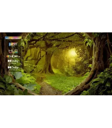 TCL 65C6K 65" 4K UHD QD‑Mini LED — TV 4K HDR10+, 144 Hz, Google TV | Meilleur Prix France