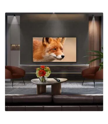 LG 77C54LA 77" OLED 4K UHD – Téléviseur OLED 77 pouces | Dolby Vision, Smart TV webOS | Meilleur Prix & Livraison Rapide