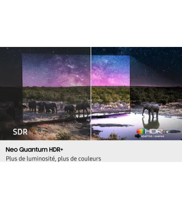 Samsung TQ55QN90F 55" Neo QLED 4K UHD – TV Mini‑LED, HDR10+, 120 Hz, Smart TV | Prix et Avis