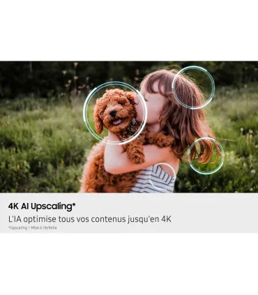 Samsung TQ55QN80F 55" 4K UHD Neo QLED – TV Mini LED, 120 Hz, HDR10+, Dolby Atmos | Prix, Avis & Achat