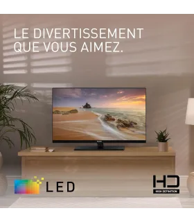 Panasonic TS24N30AEZ 24" HD LED