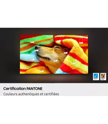 Samsung TQ65S85F 65" OLED 4K UHD – TV Ultra-Fin, Dolby Atmos, HDR10+ | Meilleur Prix & Livraison Rapide