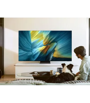 Samsung TQ65S95F 65" OLED 4K UHD – TV intelligente | HDR, 120 Hz, Smart TV | Prix et Avis