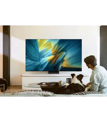 Samsung TQ55S95F 55" OLED 4K UHD – TV haut de gamme, couleurs OLED, Gaming 120Hz | Prix et Avis