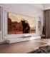 Laser TV 120 inches 120L5ND
