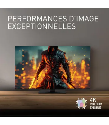 Panasonic TB-55W61AEZ 55" 4K UHD LED – Smart TV 4K HDR, Wi‑Fi, HDMI | Prix et Avis