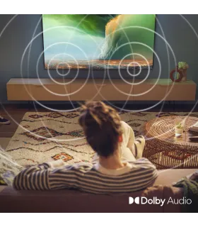 Philips 24PHS6000 24" HD LED