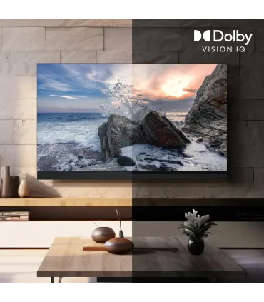 TV intelligente Panasonic TV65Z90AEG 65" OLED 4K Ultra HD – Smart TV 4K, HDR, Dolby Vision, Dolby Atmos | Meilleur prix et livra