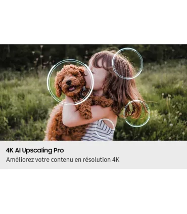 Samsung TQ48S93F 48" OLED 4K UHD | Achetez au Meilleur Prix