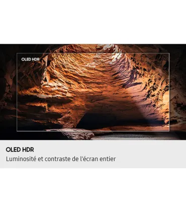Samsung TQ48S93F 48" OLED 4K UHD | Achetez au Meilleur Prix