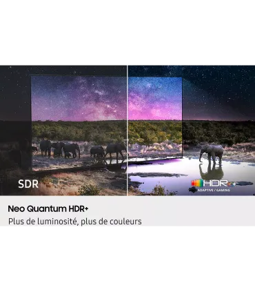 Samsung TQ50QN90F | TV 50" 4K UHD Neo QLED | Achetez au Meilleur Prix